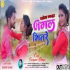 About Kon Gadha Jangal Bhitre Song